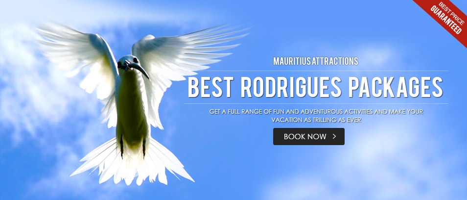 Best Rodrigues Packages